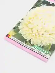 Астра Баллон желтый, семена, цветы