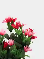 Искусственные цветы. Колокольчики (двухцветный букет). Высота: 35 см. D цветка: до 5 см