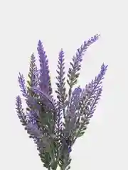 Искусственные цветы, лаванда