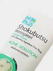 Lion Shokubutsu Пенка для лица от прыщей для жирной и комбиниров кожи Acne Solution 100 мл