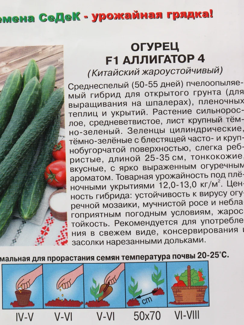 Огурец " Аллигатор 4" F1 , китайский, жароустойчивый (семена)