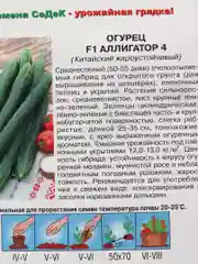 Огурец " Аллигатор 4" F1 , китайский, жароустойчивый (семена)