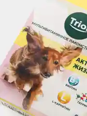Мультивитаминное лакомство с минералами для собак TRIOL "Активная жизнь", 66 таблеток