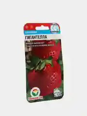 Семена (клубника) "Земляника Гигантелла"