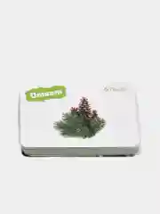 Игра-викторина "Природа" 5+, 50 карточек