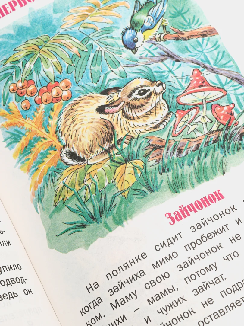 Книга для детей "Верблюжья варежка. Сборник рассказов о животных"