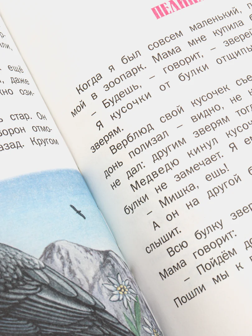 Книга для детей "Верблюжья варежка. Сборник рассказов о животных"