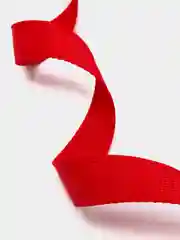 Красный поводок для собак