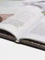 Книга "Ножи", иллюстрированная энциклопедия