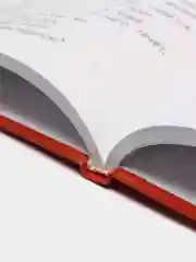 Книга Литературное чтение. Живые странички. 1 класс