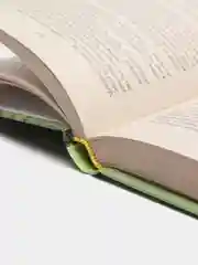 Книга Стоик. Теодор Драйзер. Роман