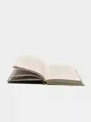 Книга Стоик. Теодор Драйзер. Роман