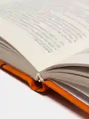 Книга "Медленная смерть", Стюарт Хоум