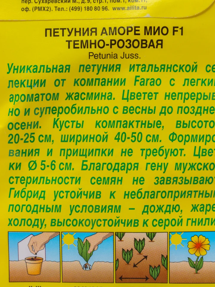 Петуния Аморе мио F1 (семена,цветы)