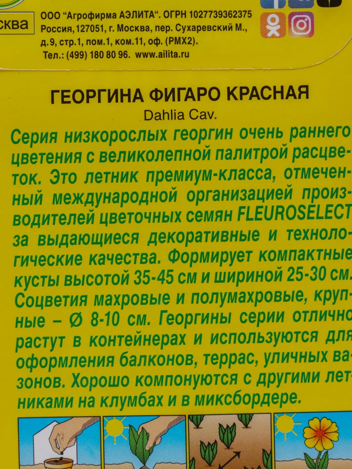 Семена Георгина "Фигаро Красная"
