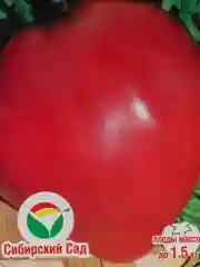 Семена Томат  Бычье сердце красное  набор 1, 3, 5 уп