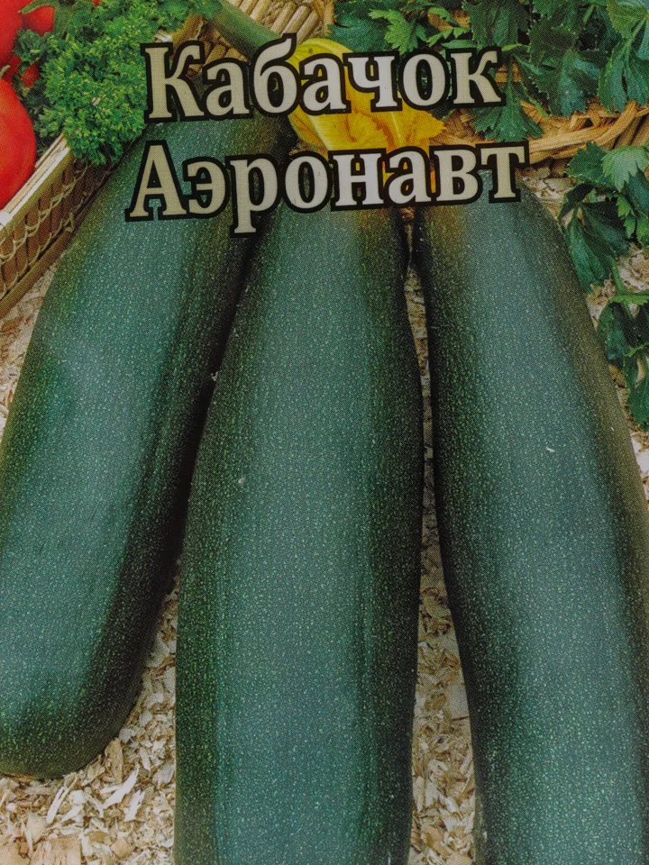 Кабачок Аэронавт (семена)