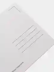 Открытка "Чайка"
