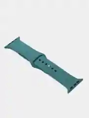 Зеленый силиконовый ремешок + защитная накладка со стеклом на корпус Apple Watch 42 mm