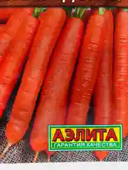 Семена Морковь "Голландская"