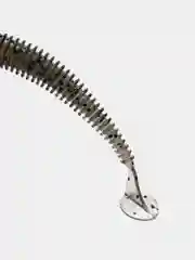 Угольный силиконовая приманка Swing 3" (7.6 см) 2 штуки
