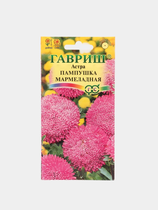Семена Астра "Пампушка мармеладная розовая"