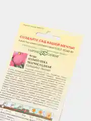 Семена Астра "Пампушка мармеладная розовая"