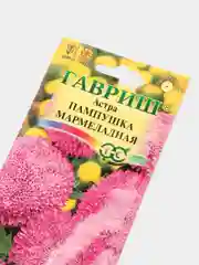 Семена Астра "Пампушка мармеладная розовая"