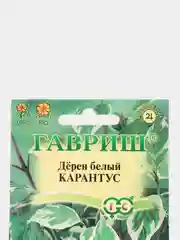 Дерен белый Карантус (семена лесной уголок)