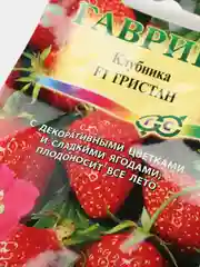 Клубника Тристан (семена)