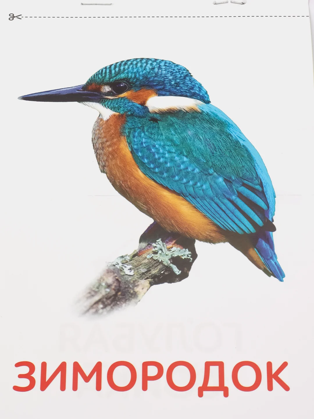 Книги "Карточки Домана. Окружающий мир"