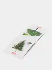 Книги "Карточки Домана. Окружающий мир"