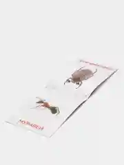 Книги "Карточки Домана. Окружающий мир"