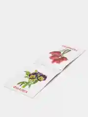 Книги "Карточки Домана. Окружающий мир"