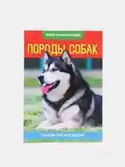 Желтый книга для детей Мини - энциклопедии