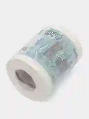 Зеленый туалетная бумага,деньги,прикол
