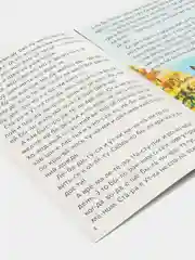 Вишнёвый книга детская "Читаем по слогам"