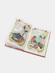 Книга для детей "Малышкина книжка. Сборник стихов и сказок для детей"