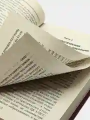 Книга "Коммандос: Информационно-психологическая война"