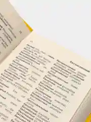 Русско-английский и англо-русский универсальный словарь, карманное издание