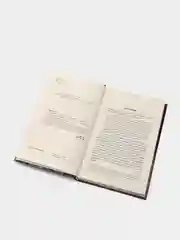 Книга "Коммандос: Спутник разведчика"