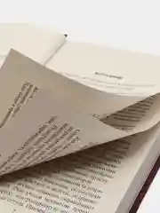 Книга "Коммандос: Спутник разведчика"