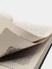Книга "Французский бокс Сават. Боевые искусства"