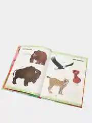 Книга Копилка самых первых знаний малыша