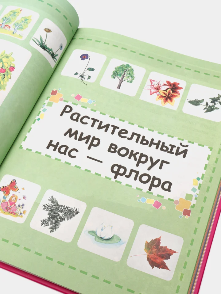 Книга для детей, Моя первая большая энциклопедия для девочек