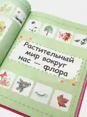 Книга для детей, Моя первая большая энциклопедия для девочек
