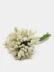 Светло-жёлтый тычинки сахарные для цветов