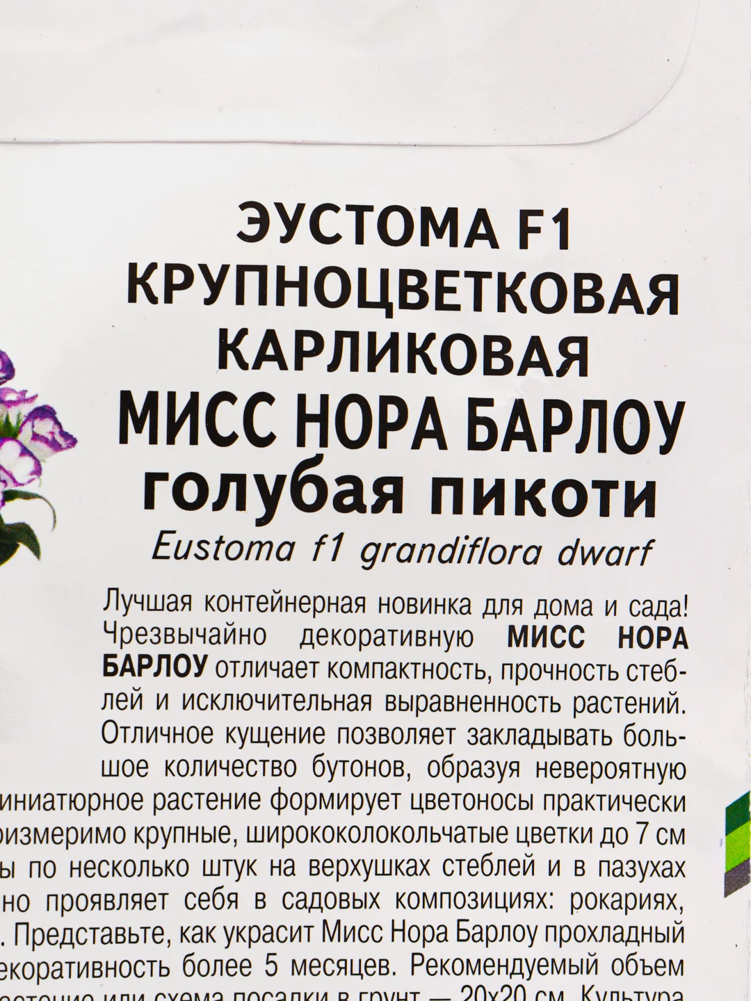 Семена цветов Эустома "Мисс нора", Партнер
