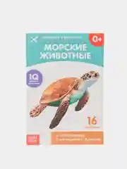 Книги "Карточки Домана. Окружающий мир"