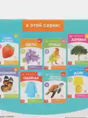 Книги "Карточки Домана. Окружающий мир"